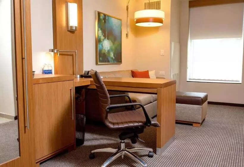 اتاق استاندارد با تخت بزرگ, Hyatt Place Manati