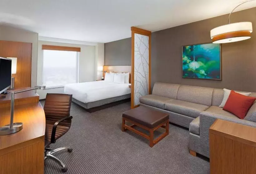 Standard Room King Size Bed