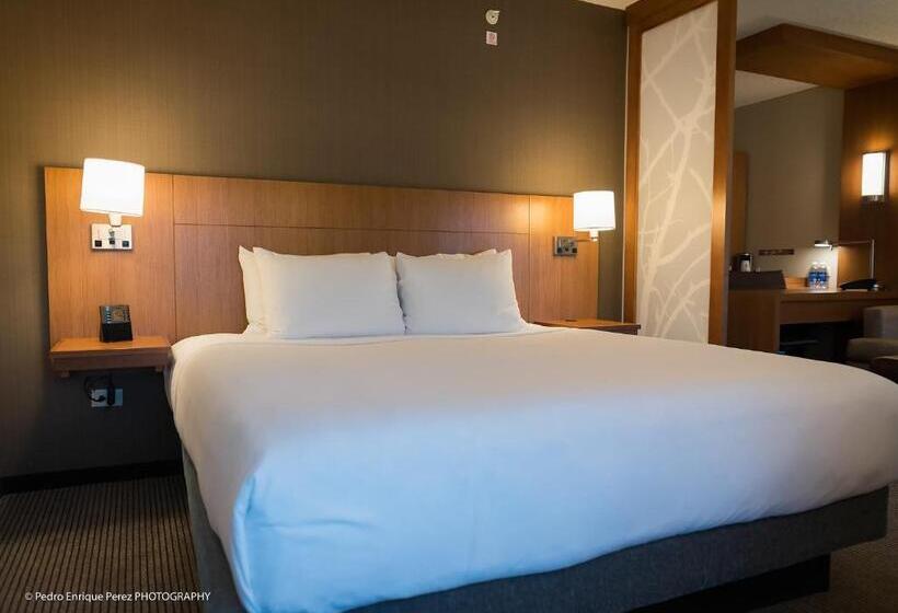 اتاق استاندارد با تخت بزرگ, Hyatt Place Manati