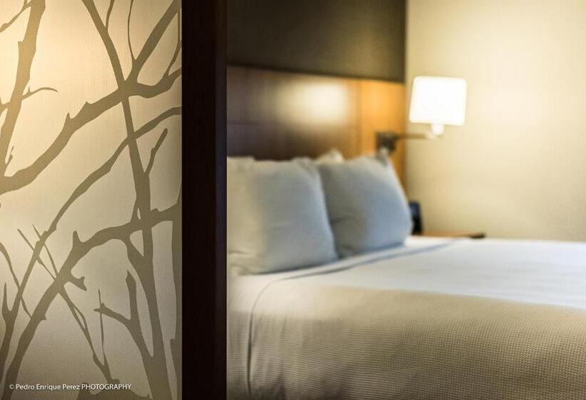 اتاق استاندارد با تخت بزرگ, Hyatt Place Manati