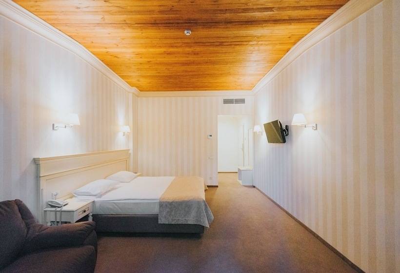 Habitación Deluxe, Premier Geneva