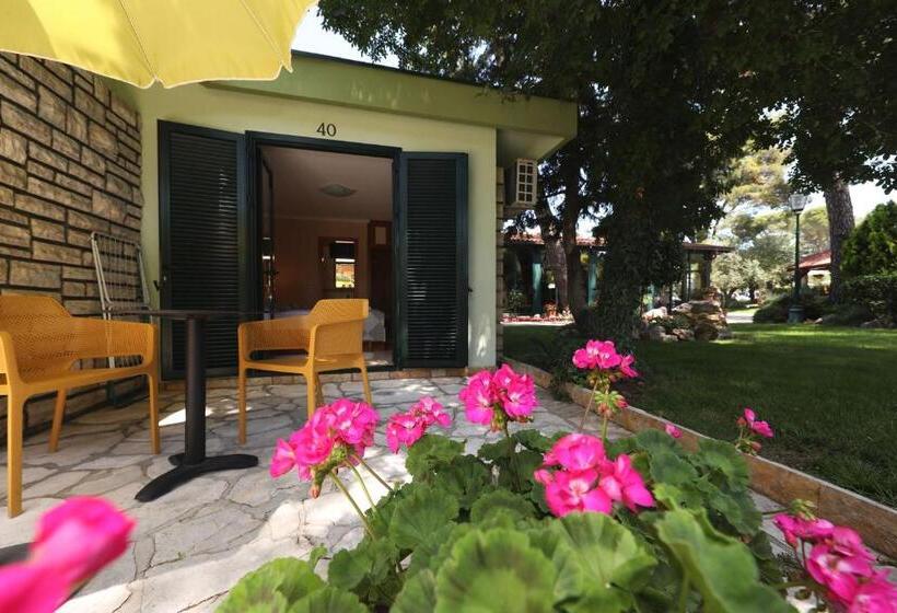 Номер Стандарт, Mediterranean Village San Antonio