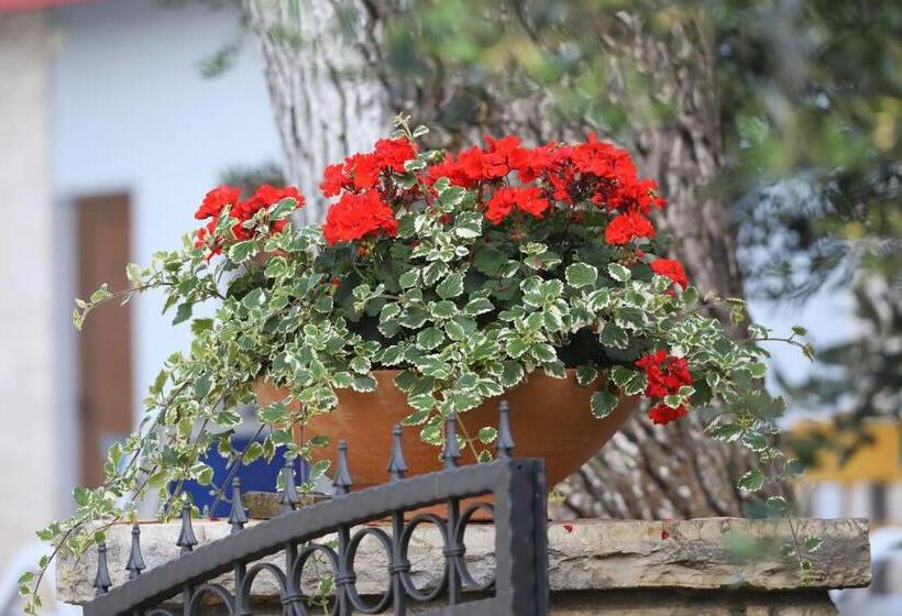 Номер Стандарт, Mediterranean Village San Antonio