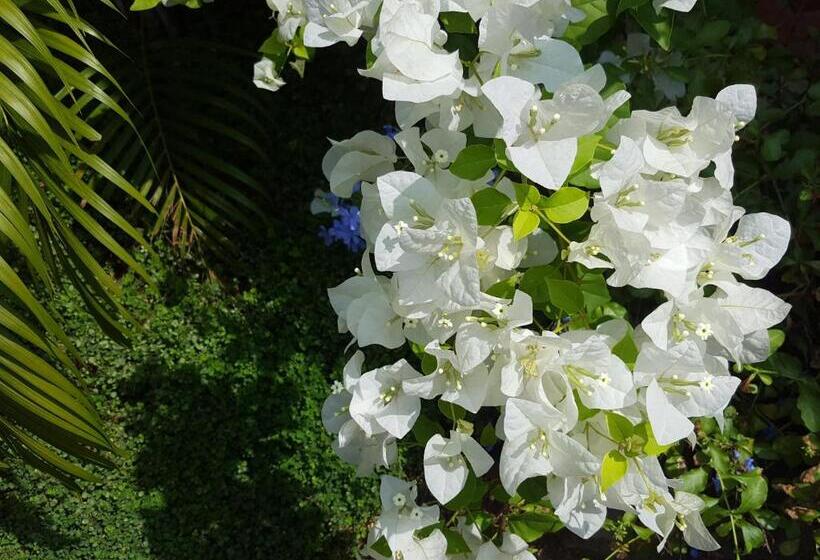 اتاق استاندارد با چشمانداز باغ, Green Mountain Rest Mirissa