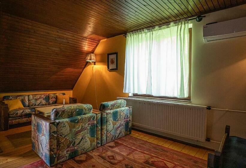 Номер Стандарт Трехместный, Tusculanum Panzió