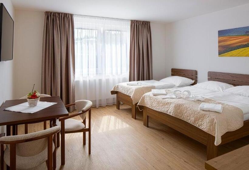 غرفة ديلوكس ثلاثية, Penzion U Buštíků