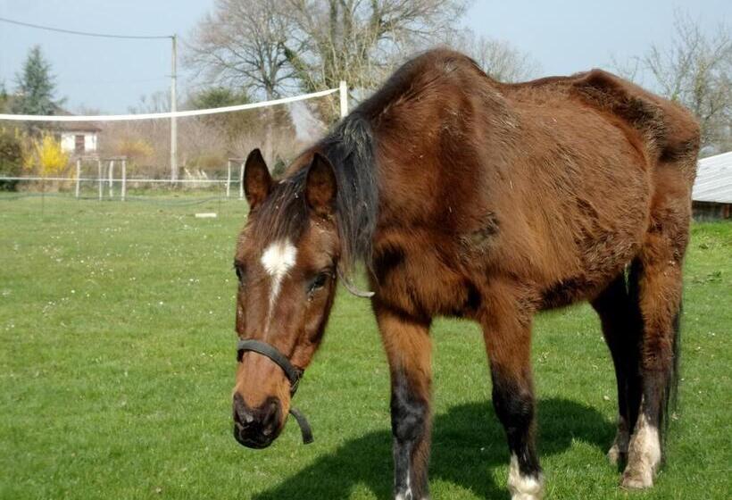 منزل غرفة نوم واحدة, Gîte L Ange Blanc 20 Personnes