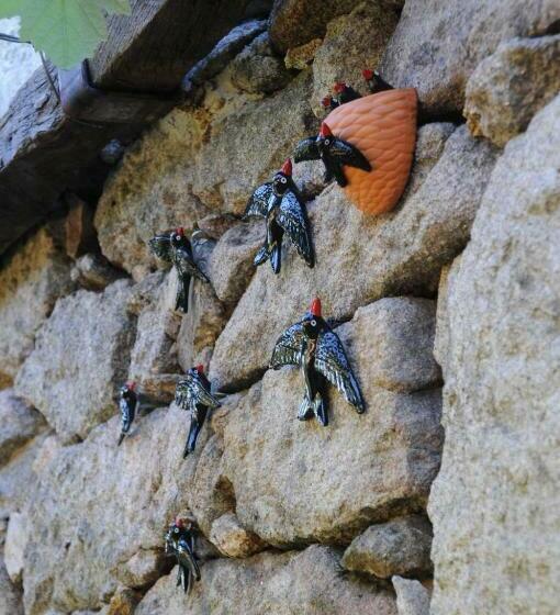 בית, 2 חדרי שינה, Casinhas Da Levada