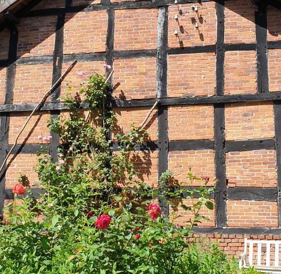 标准间, Adelheidshof