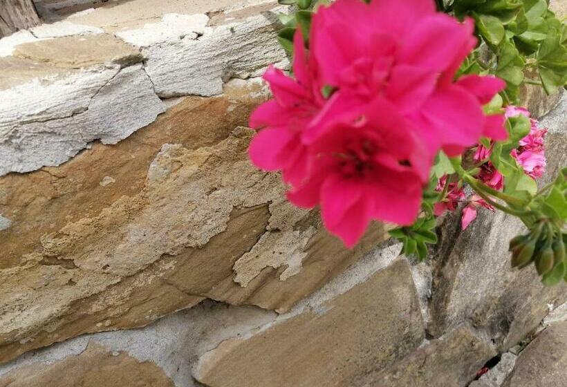 منزل غرفة نوم واحدة, къща цвети 1 трявна