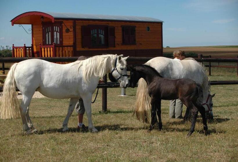 패밀리 룸 가든 전망, La Roulotte Des Matis