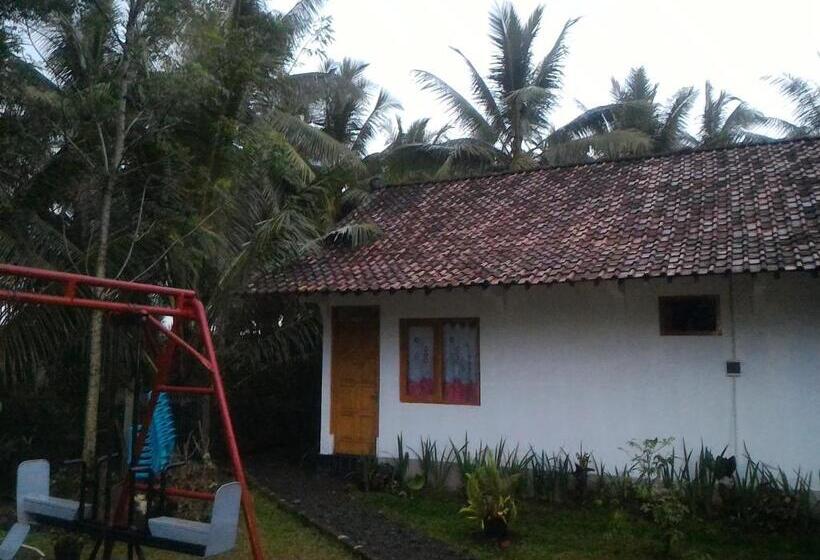 スタンダードルーム, Omah Ndeso Argopeni