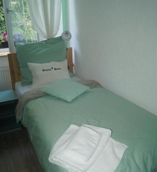 חדר סטנדרט, Penzion Blatno