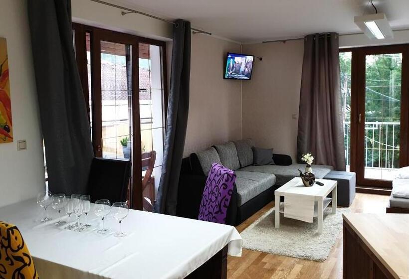 شقة سوبريور غرفة واحدة, Relax Penzion U Adama