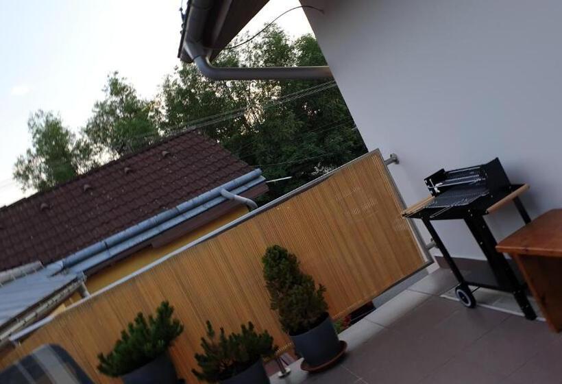 شقة سوبريور غرفة واحدة, Relax Penzion U Adama