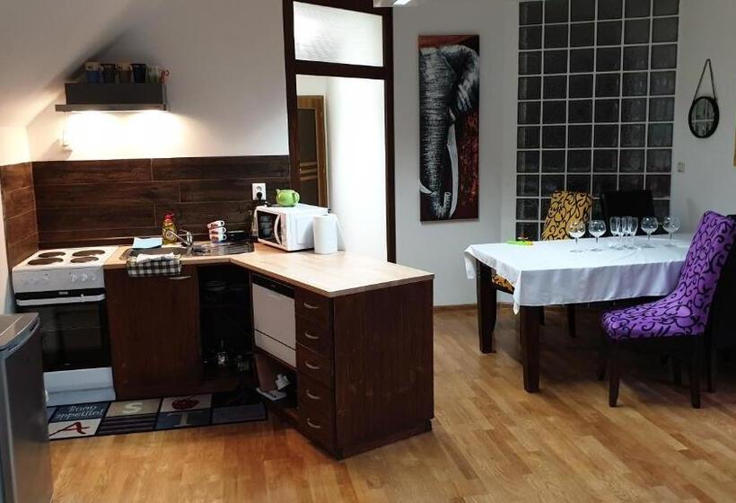 شقة سوبريور غرفة واحدة, Relax Penzion U Adama