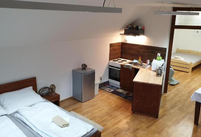 شقة سوبريور غرفة واحدة, Relax Penzion U Adama