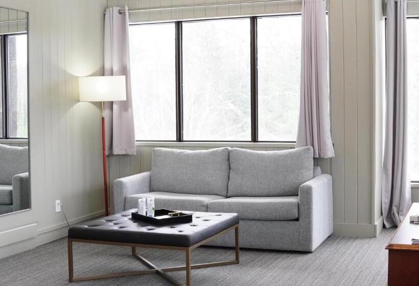 جناح سرير كينج, Nomi Resort