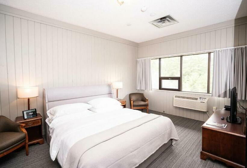 غرفة قياسية سرير كينج, Nomi Resort