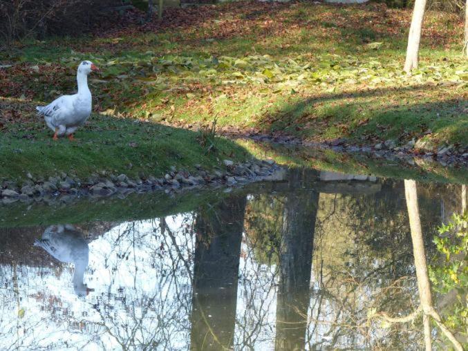 غرفة عائلية, Chambre E André Le Domaine Des Jardins De Bracquetuit
