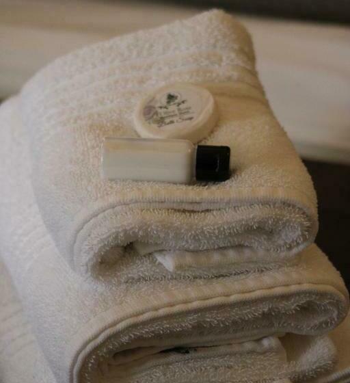 غرفة قياسية, D Olive Rose Boutique Hotel Danielskuil