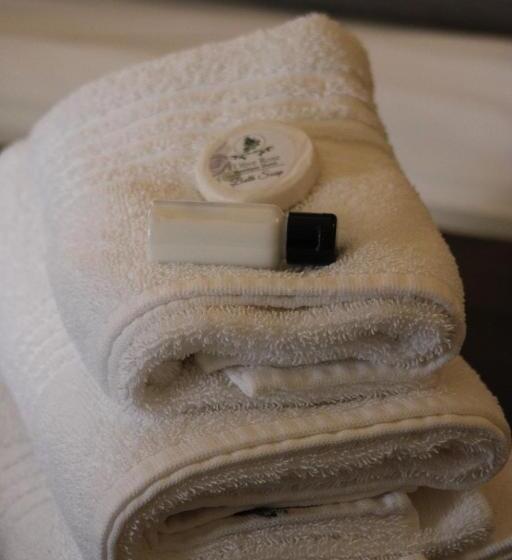 패밀리 룸, D Olive Rose Boutique Hotel Danielskuil