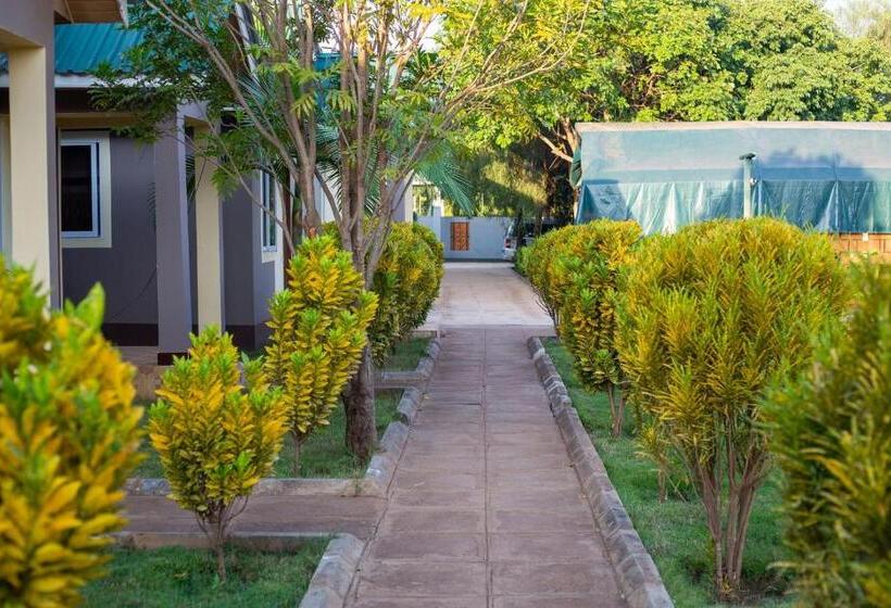 패밀리 룸, Kilimanjaro Snow Peak