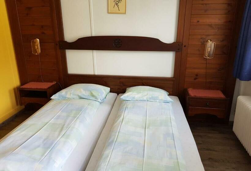 Camera Standard, Löwen