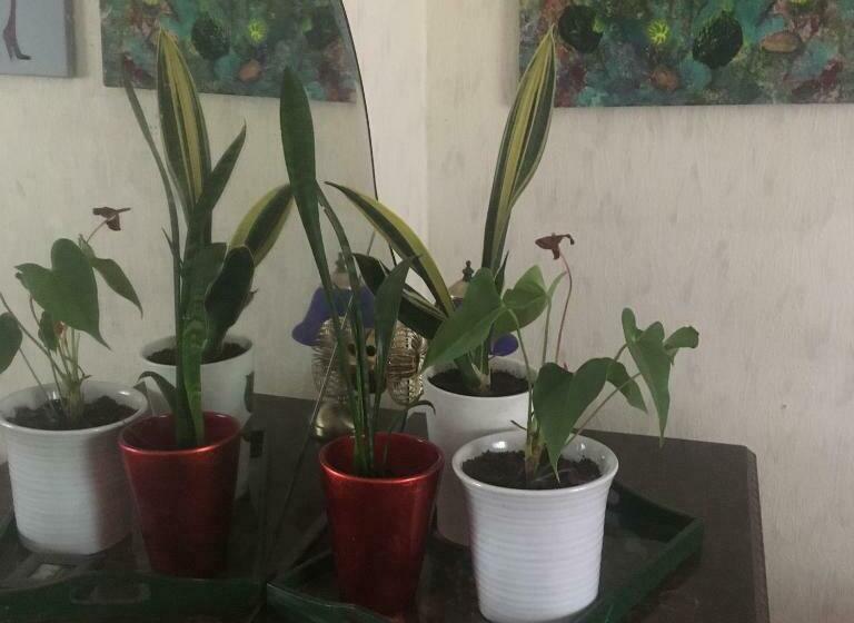 חדר סטנדרט חדר אמבטיה משותף, Arthome Småland