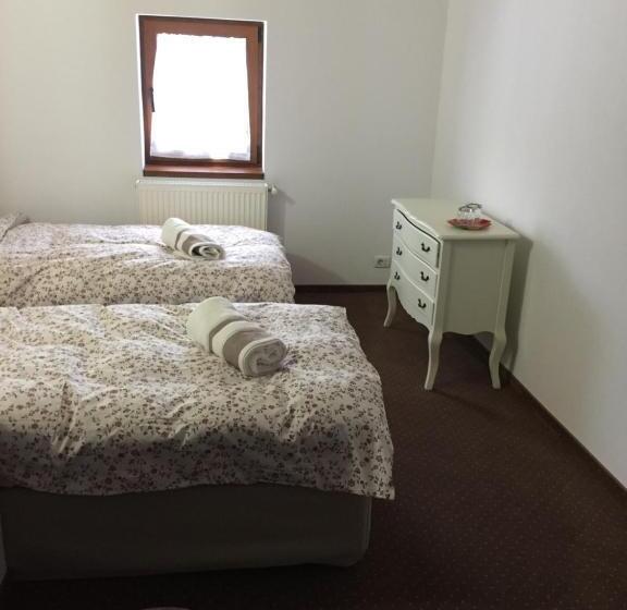 غرفة ديلوكس مزودة بشرفة, Casa De Vacanta Saru Dornei