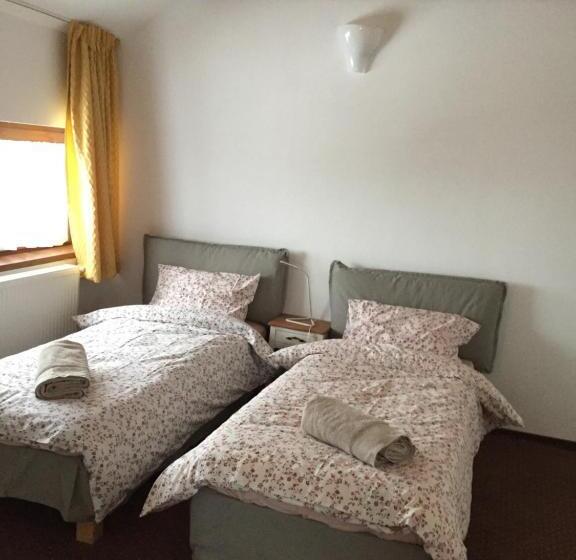 غرفة ديلوكس مزودة بشرفة, Casa De Vacanta Saru Dornei