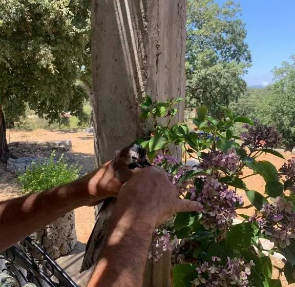 スタンダードルーム, Maison D Hôtes Abou Hachem