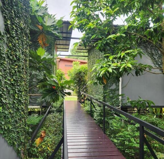 スーペリアールーム, Chill House Mae Sariang