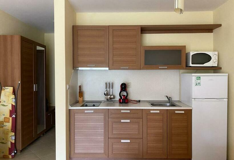 إستوديو قياسى ذو إطلالة, Studio By Mountain Lakes