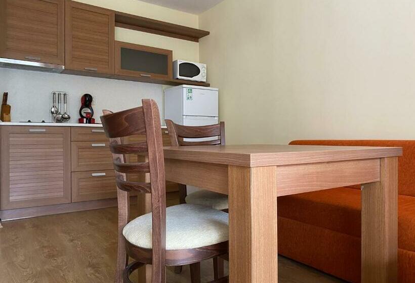 إستوديو قياسى ذو إطلالة, Studio By Mountain Lakes