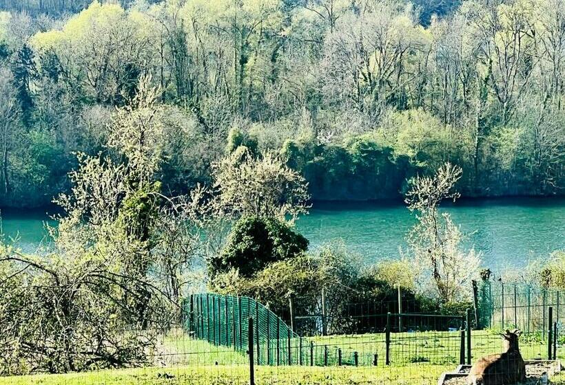 Апартаменты 1 Спальня Нижний Этаж, Résidence Belle Vue