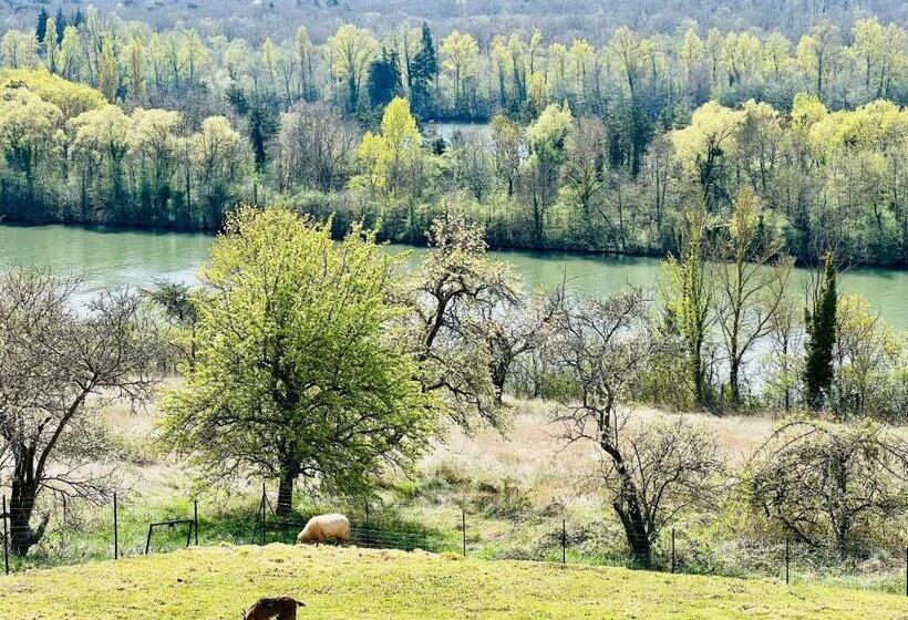 Апартаменты 1 Спальня с Террасой, Résidence Belle Vue
