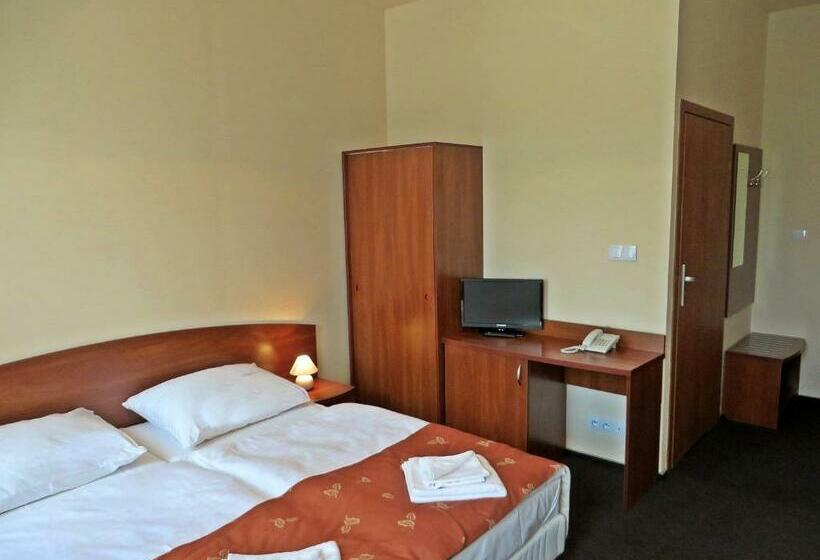 اتاق استاندارد, City Apartments Protos