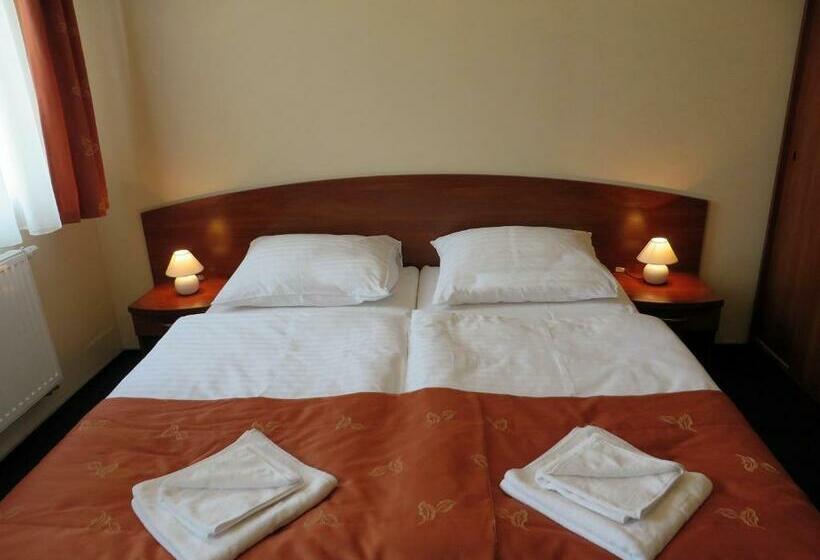 اتاق استاندارد, City Apartments Protos