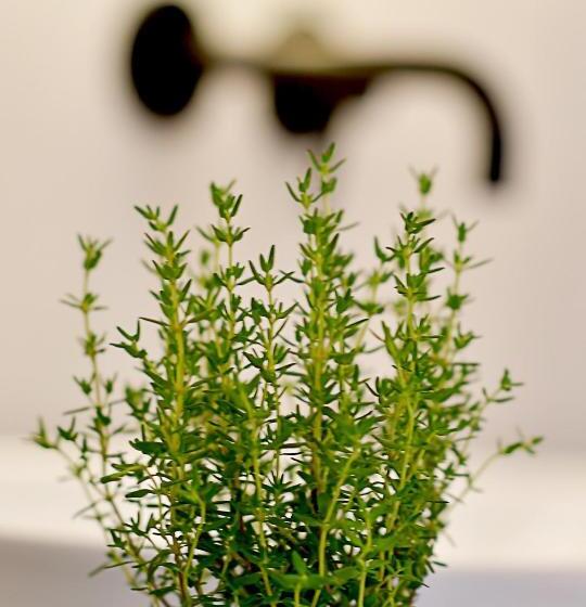 חדר סופריור, Herbal Hotel Wrocław