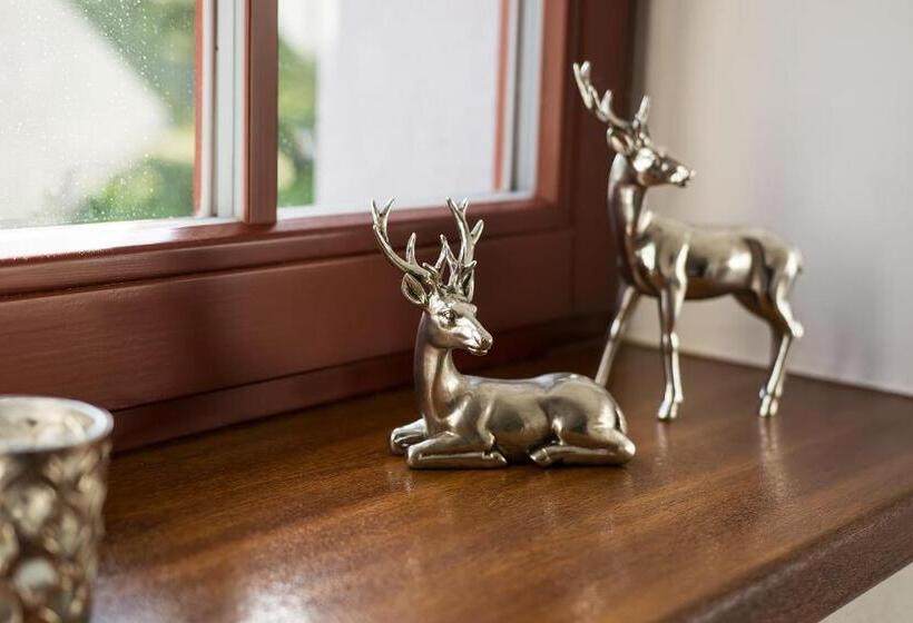 غرفة قياسية, Hubert