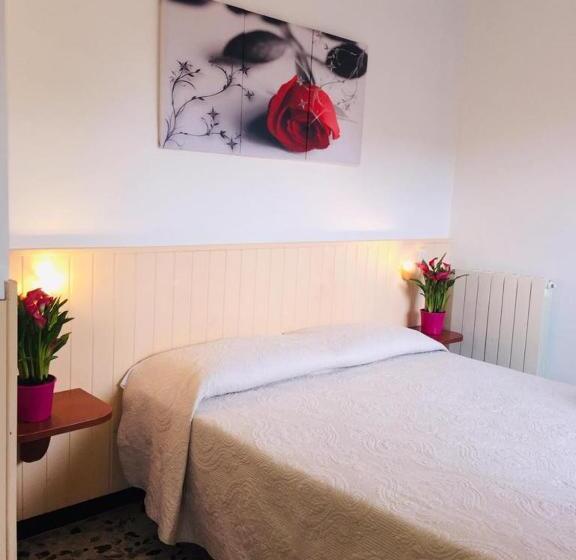 غرفة إقتصادية, Geppi