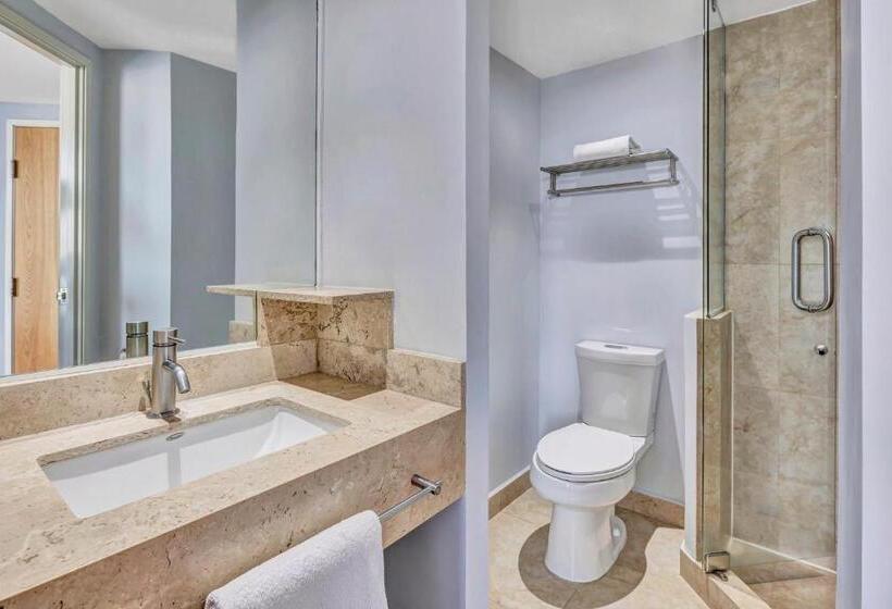 Номер Стандарт Плюс, One Ciudad De Mexico Alameda