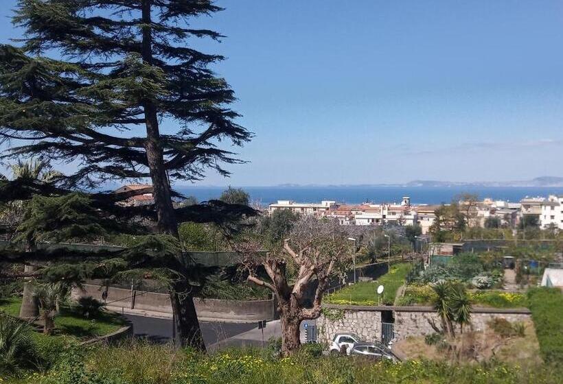 Номер Стандарт, Il Platano