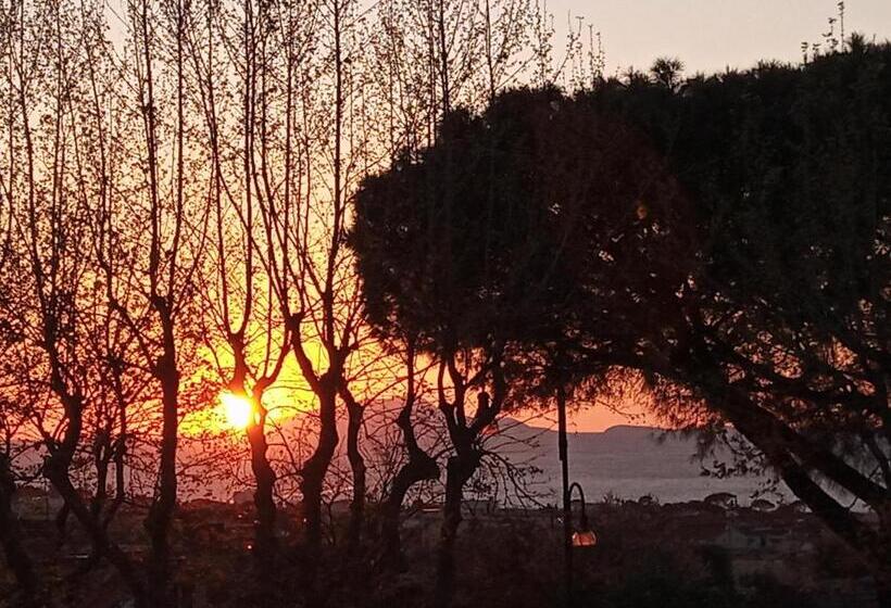 Номер Стандарт, Il Platano