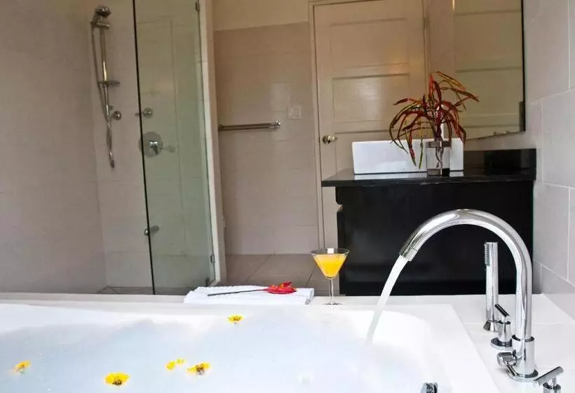 デラックスバンガロー, Bocas Del Mar