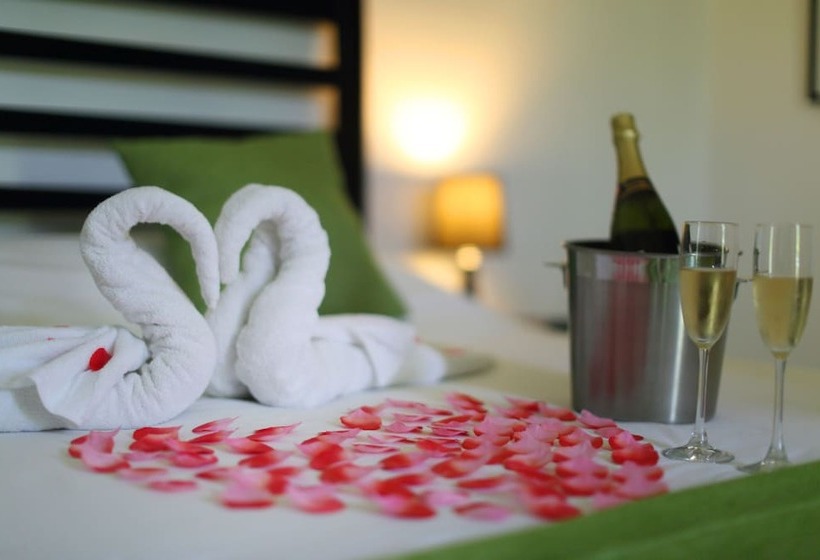 Bungalow Deluxe, Bocas Del Mar
