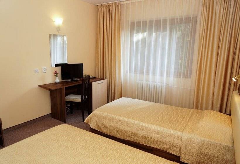 غرفة قياسية, Bor