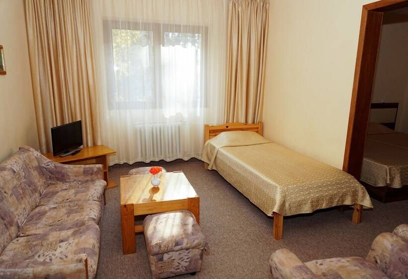 شقة غرفة واحدة, Bor