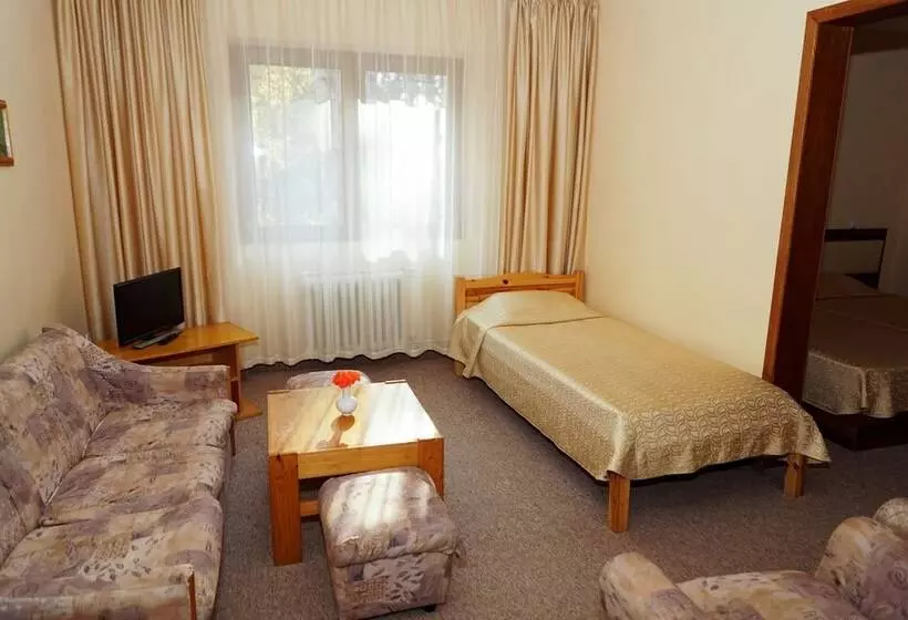 Appartement met 1 Slaapkamer, Bor